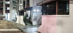 Blk 248 Hougang Avenue 3 (Hougang), HDB 3 Rooms #588894631